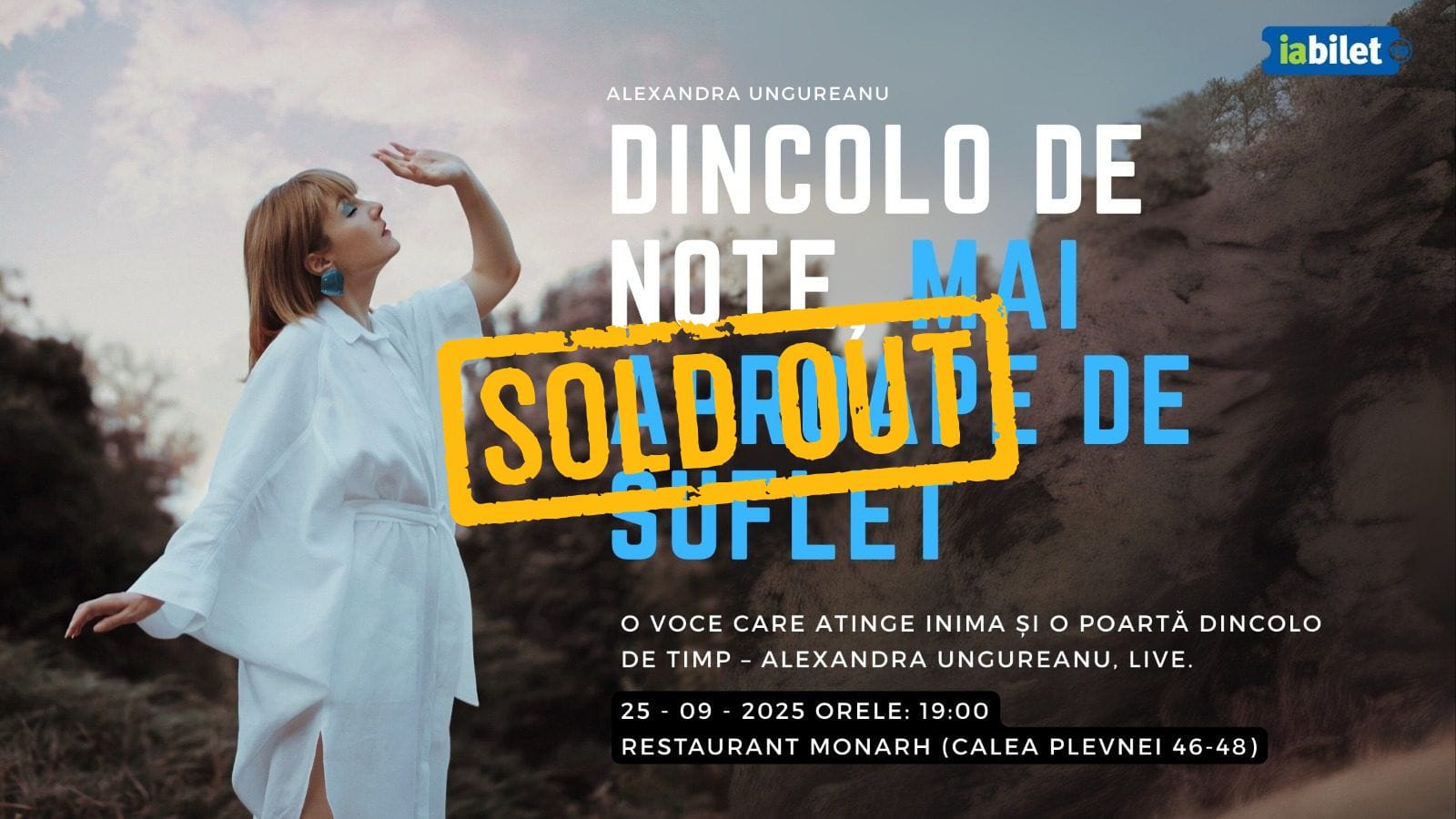 Design fara titlu 1 - Restaurant Monarh Bucuresti